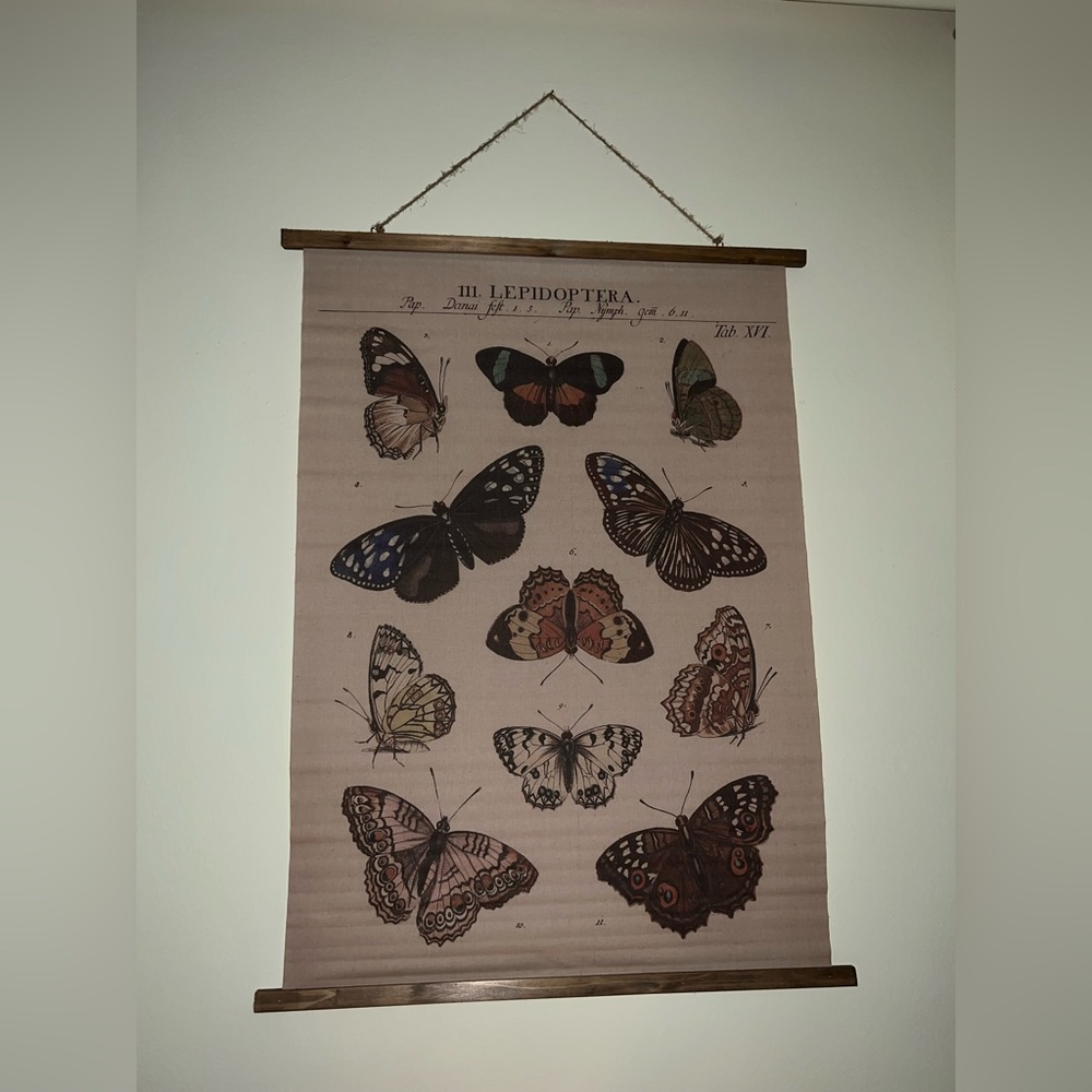 Butterfly Vintage wood/cloth wall decor